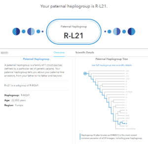 Image of R-L21 Haplogroup