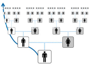Image of Diagram of Paternal branch - Y-DNA Testing