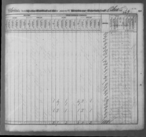 Image of 1830 Census Tick Marks for John Mckee, Isaac Edwards, Miner Edwards, page 2