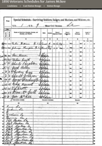Image of 1890 Veterans Schedules- Jim(James) Mckee in Port Hudson, Louisiana